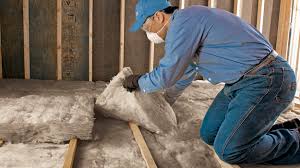 Best Eco-Friendly or Green Insulation Solutions  in Camanche, IA